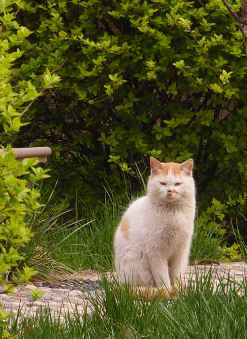 14：你走了，何时归？