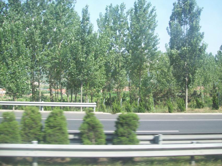 调整大小 100_4105.jpg