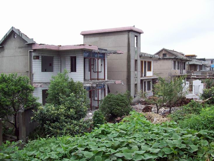 调整大小 100_1665.jpg