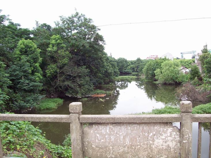 调整大小 100_1667.jpg