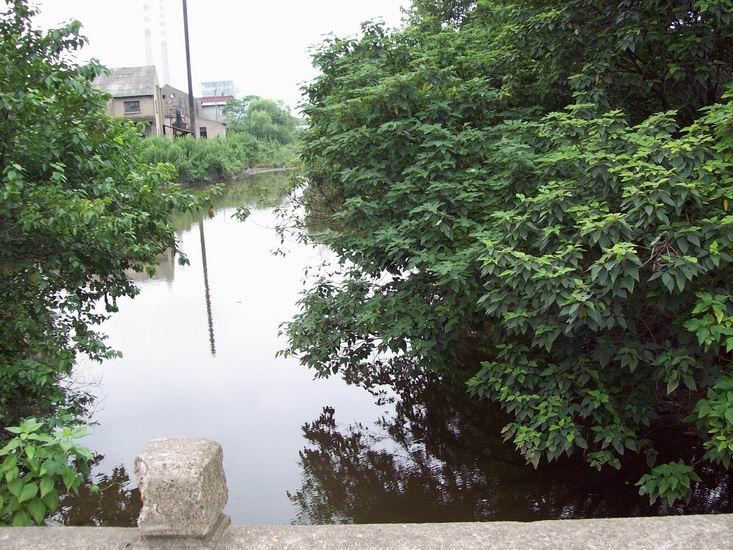 调整大小 100_1668.jpg