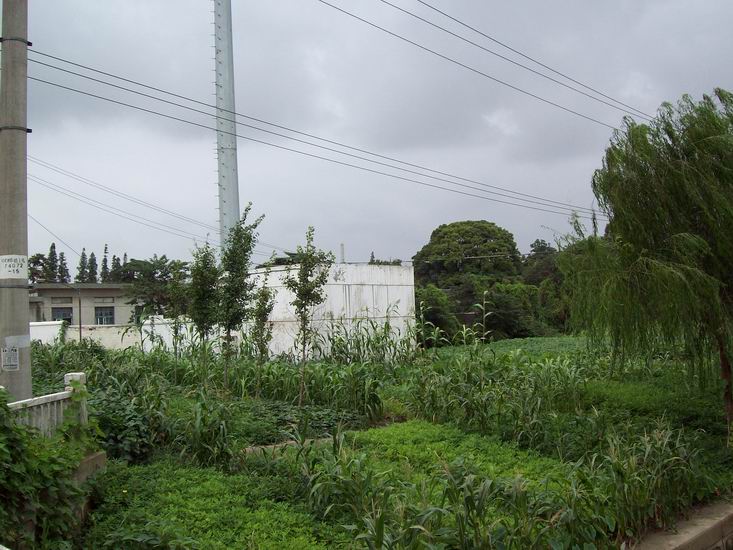 调整大小 100_1669.jpg