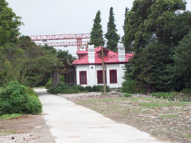 调整大小 100_1671.jpg