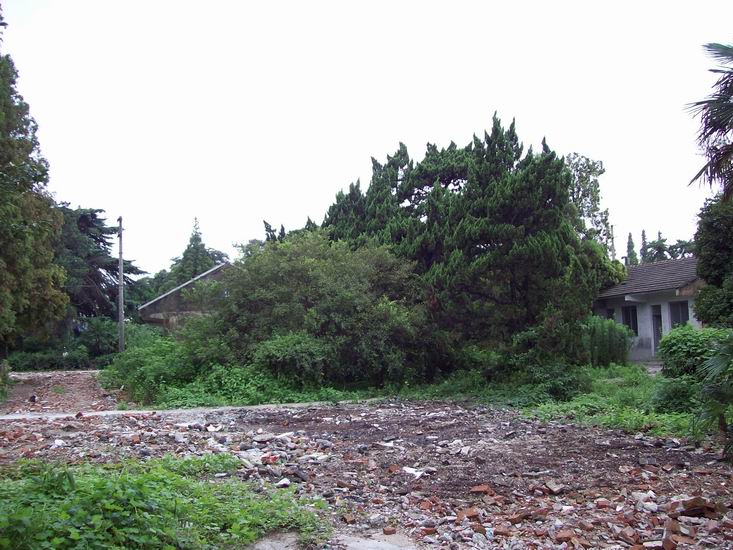 调整大小 100_1672.jpg