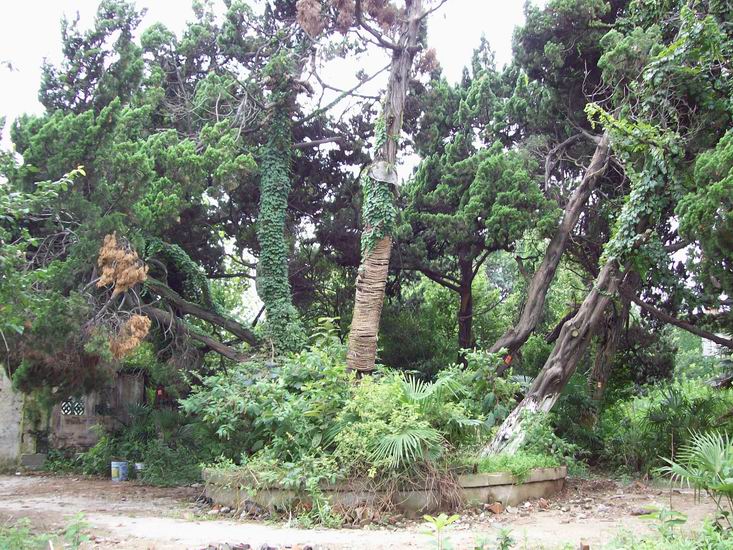 调整大小 100_1676.jpg