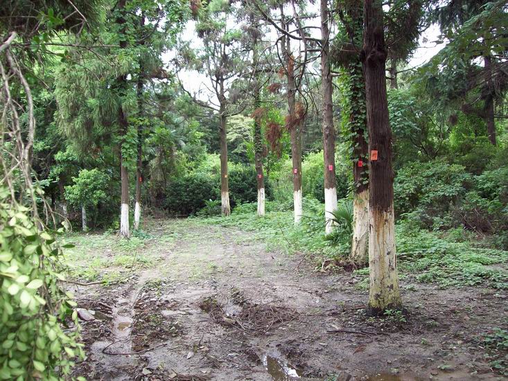 调整大小 100_1677.jpg