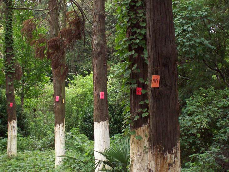 调整大小 100_1678.jpg