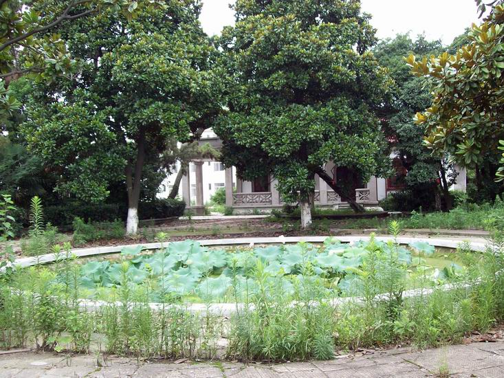 调整大小 100_1679.jpg