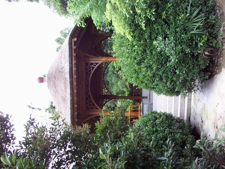 调整大小 100_1680.jpg