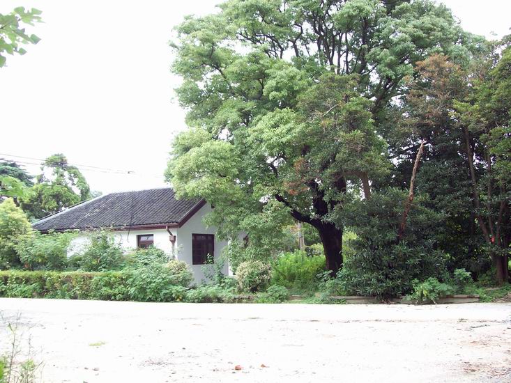 调整大小 100_1689.jpg