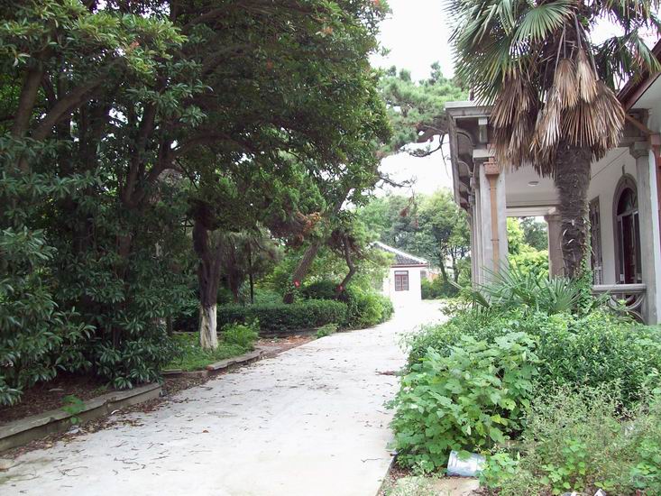 调整大小 100_1690.jpg