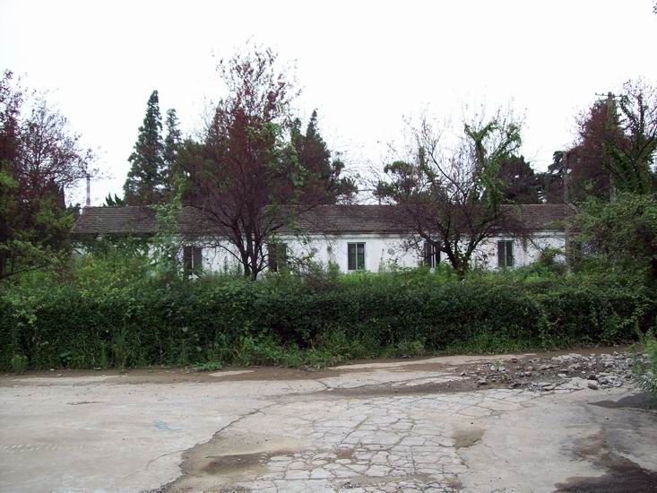 调整大小 100_1692.jpg