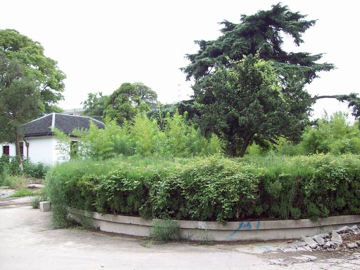 调整大小 100_1694.jpg