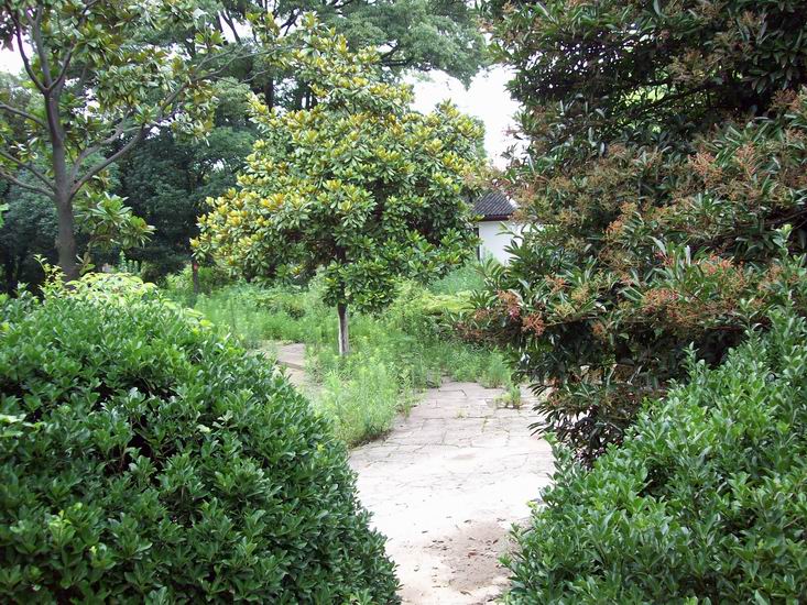 调整大小 100_1696.jpg