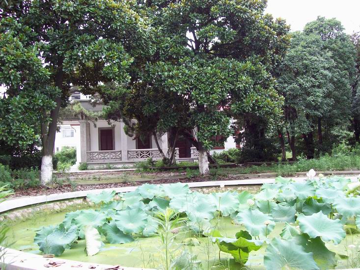 调整大小 100_1697.jpg