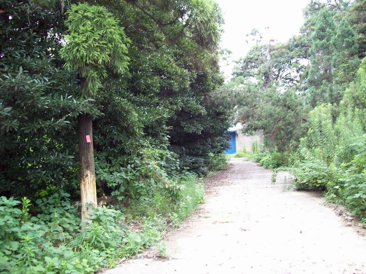 调整大小 100_1698.jpg