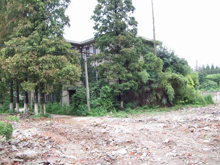 调整大小 100_1703.jpg