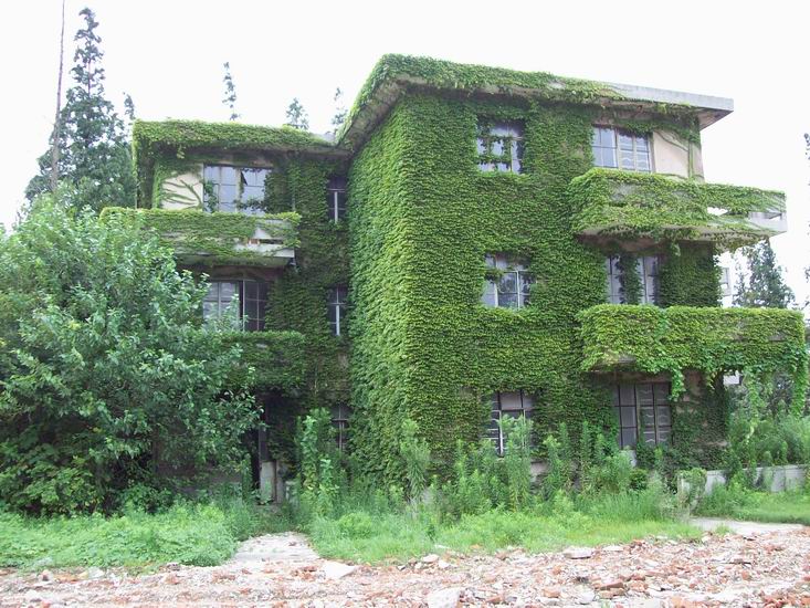 调整大小 100_1707.jpg