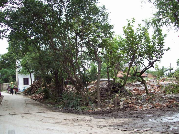 调整大小 100_1709.jpg