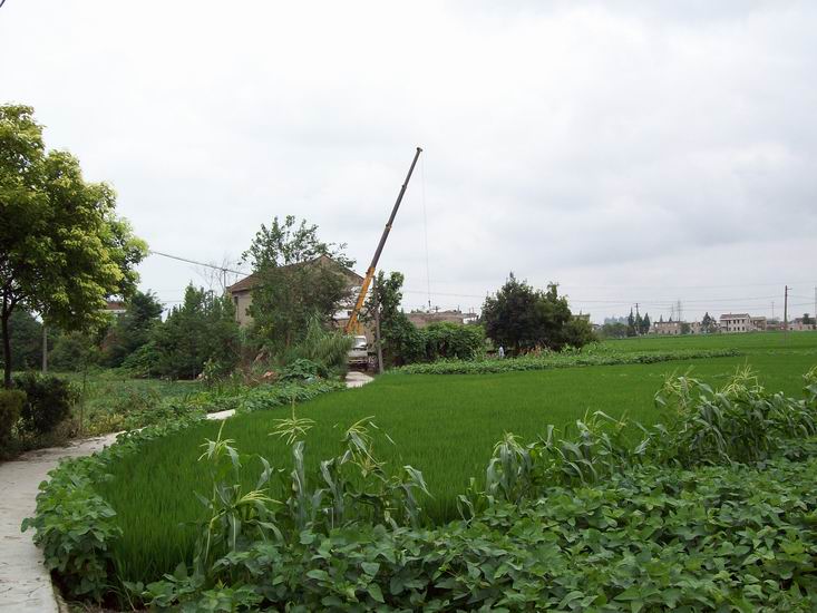 调整大小 100_1711.jpg