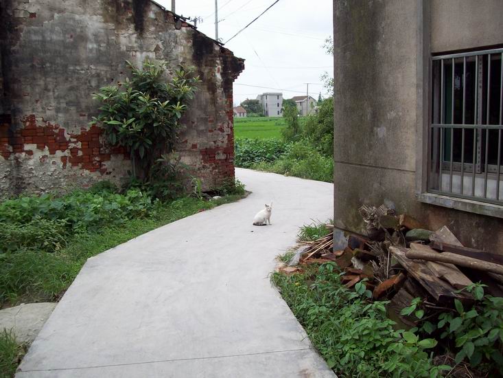 调整大小 100_1712.jpg