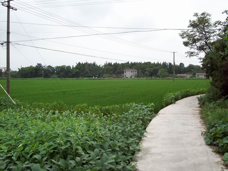 调整大小 100_1715.jpg