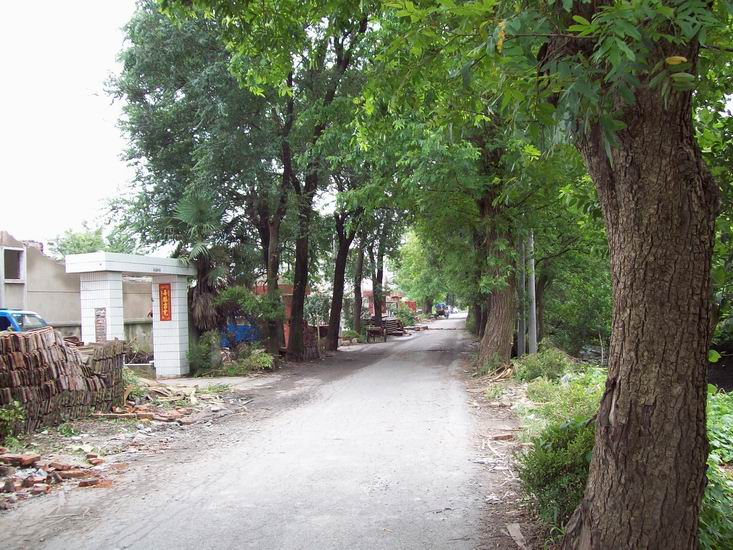 调整大小 100_1718.jpg