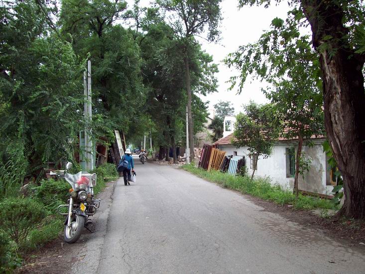 调整大小 100_1719.jpg