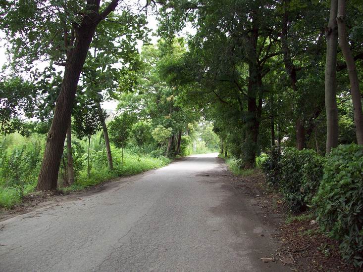 调整大小 100_1720.jpg