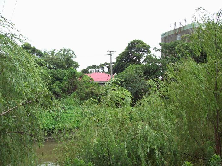 调整大小 100_1723.jpg