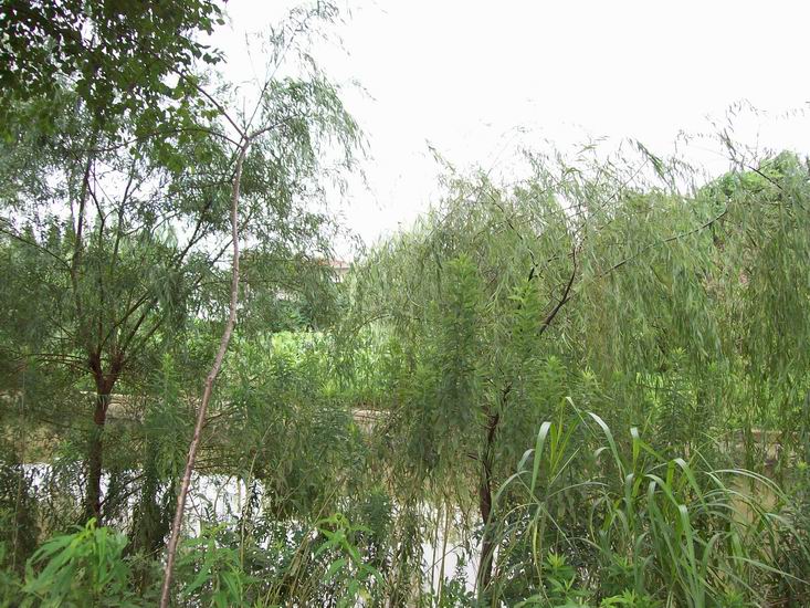 调整大小 100_1724.jpg