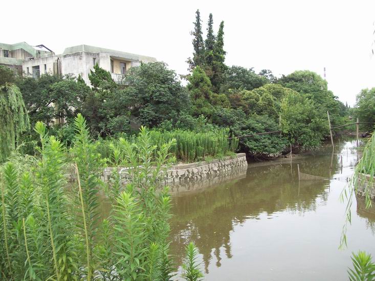 调整大小 100_1725.jpg