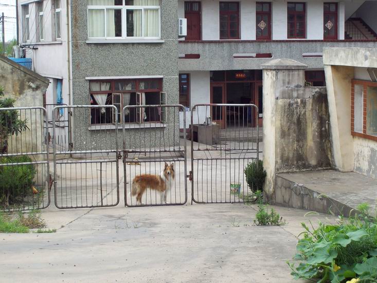 调整大小 100_1729.jpg