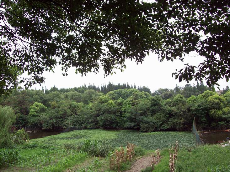 调整大小 100_1731.jpg