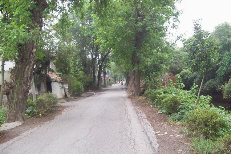 调整大小 100_0598.jpg