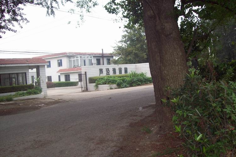 调整大小 100_0608.jpg