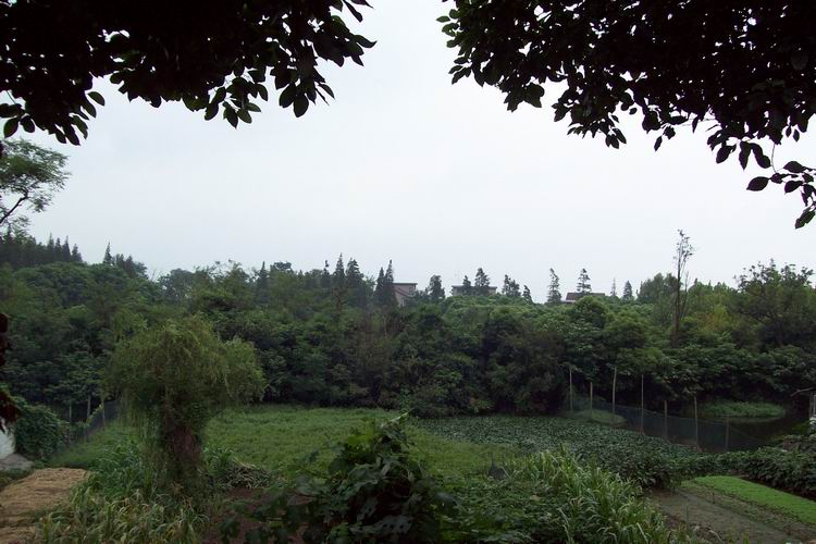 调整大小 100_0632.jpg