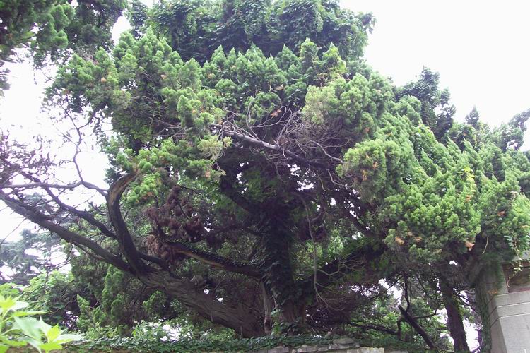 调整大小 100_0634.jpg