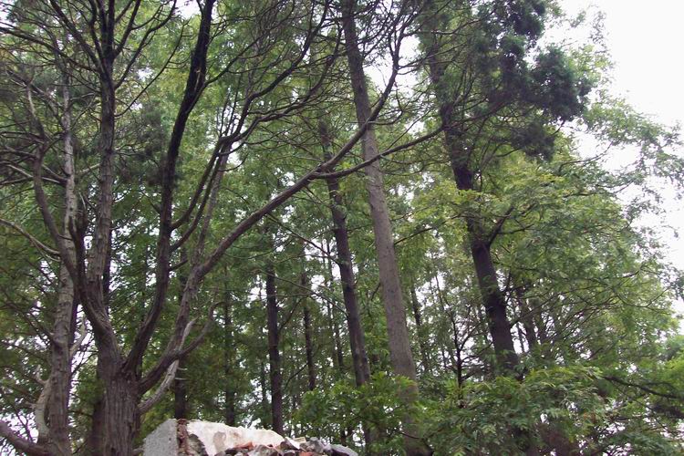 调整大小 100_0638.jpg