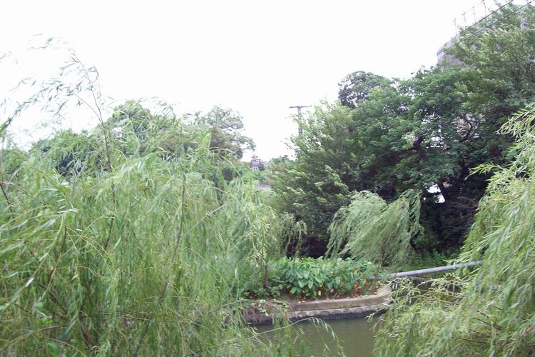 调整大小 100_0642.jpg