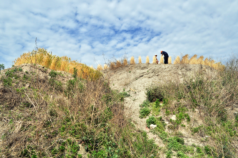 南通黄土高坡04.jpg