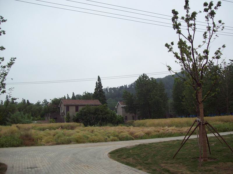 调整大小 100_5272.jpg