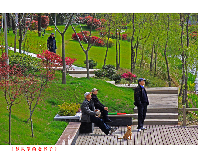 《放风筝的老爷子》