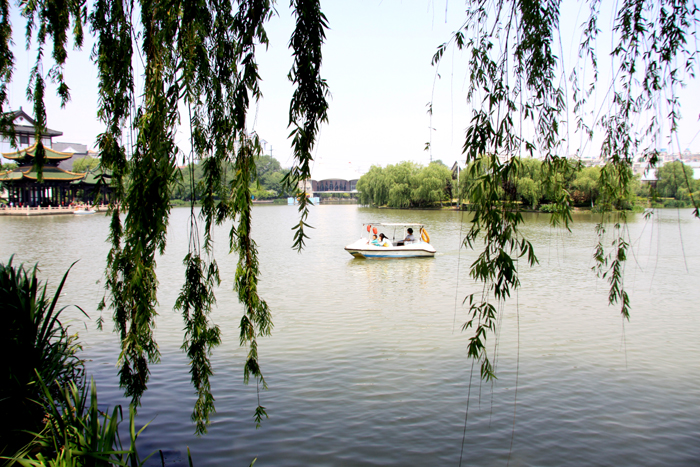 《柳帘窥探荡小舟》