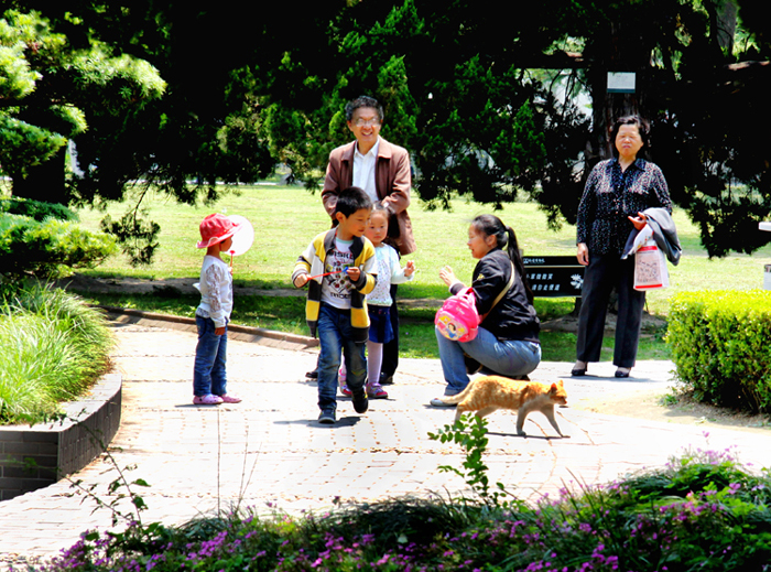 《瞧这一”家“子》