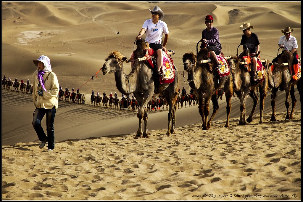 52IMG_6408s驼队.jpg
