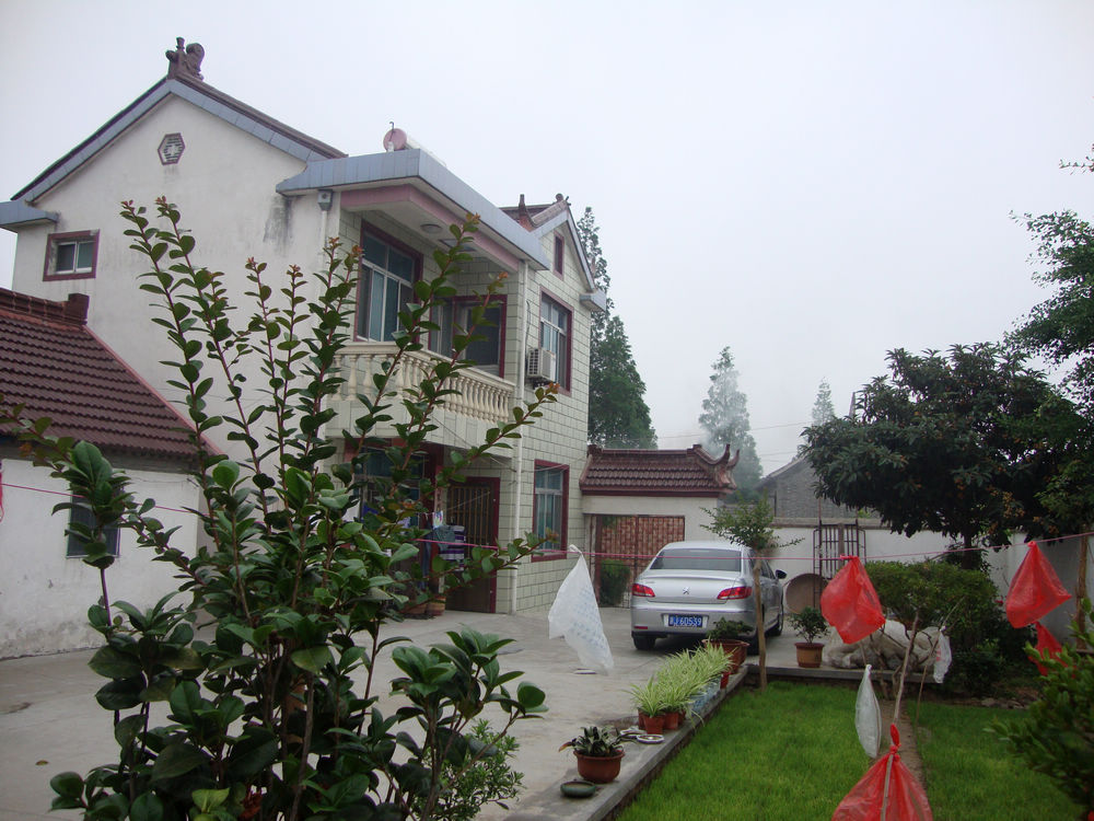 5老家的院子，近旁的是培植的秧苗