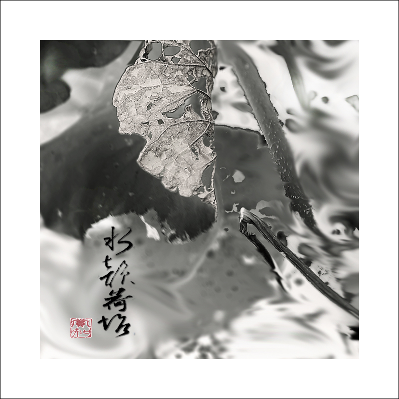 水墨荷韵3.jpg
