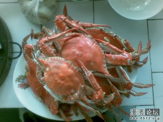 照片 005_调整大小.jpg