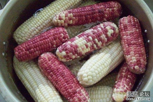 煮玉米2.jpg